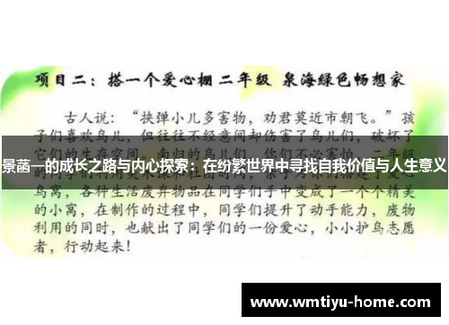 景菡一的成长之路与内心探索：在纷繁世界中寻找自我价值与人生意义