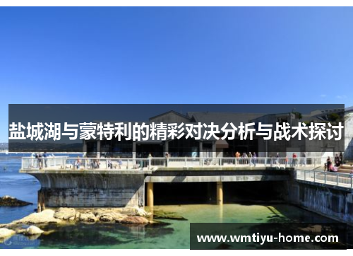 盐城湖与蒙特利的精彩对决分析与战术探讨