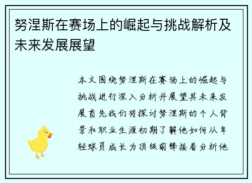 努涅斯在赛场上的崛起与挑战解析及未来发展展望