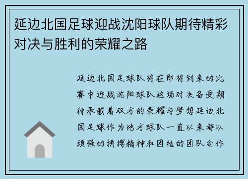 延边北国足球迎战沈阳球队期待精彩对决与胜利的荣耀之路